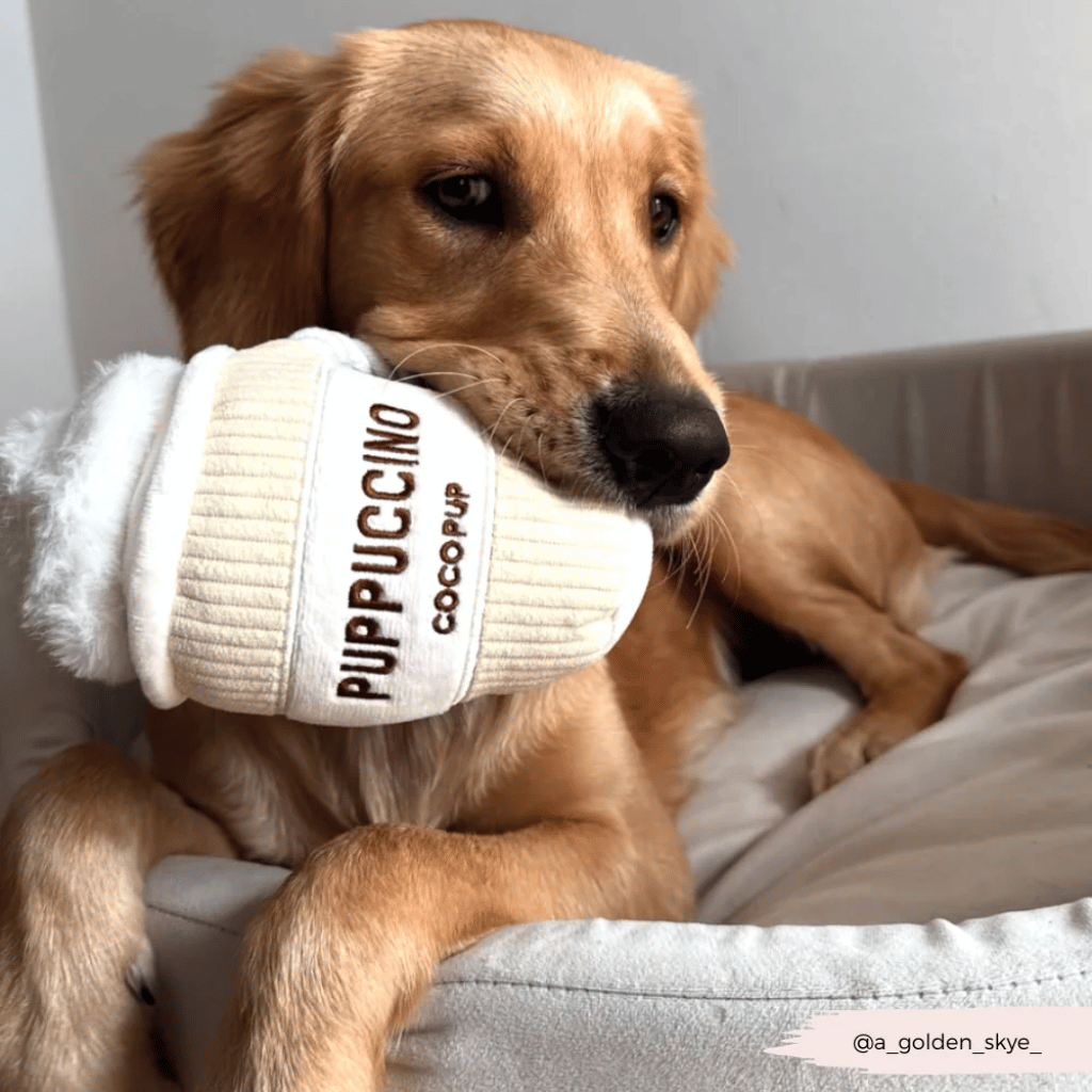 Thumbnail: Plush dog toy Image 2