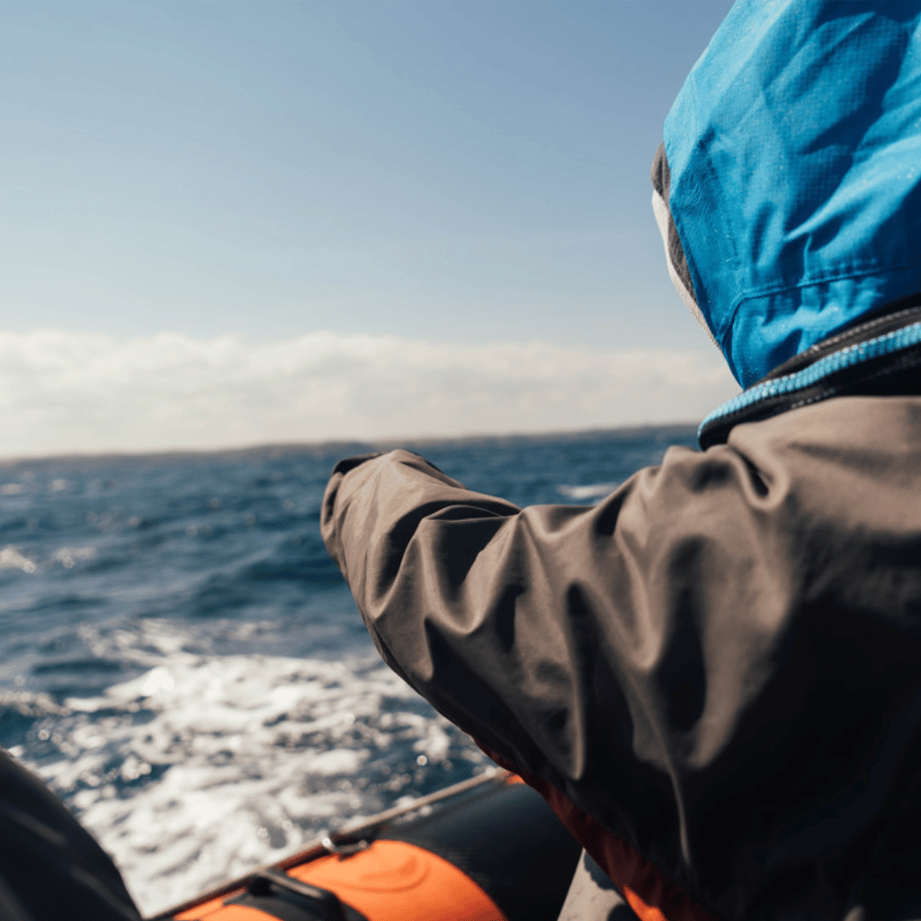 Thumbnail: Sealife Safari Boat Trip for Two Adults (2hrs) Image 2