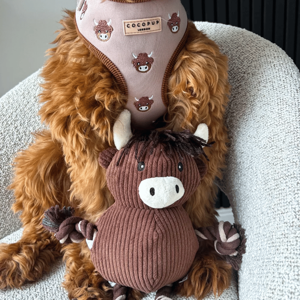 Thumbnail: Plush dog toy Image 3