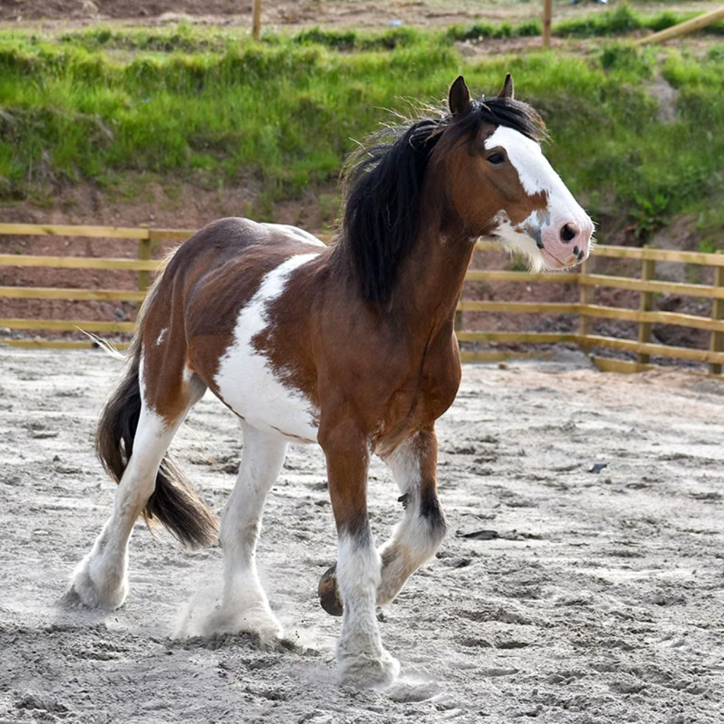 Thumbnail: Choice of 150+ Experiences for Him Image 7