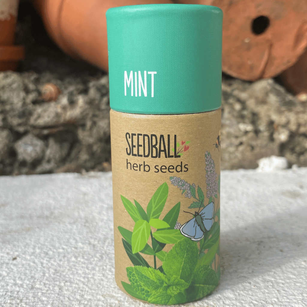 Thumbnail: Herb garden seedballs Image 2