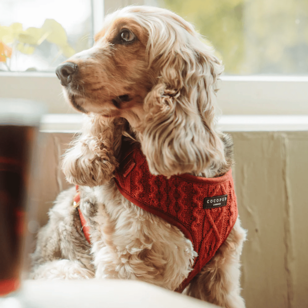 Thumbnail: Cable knit harness Image 3