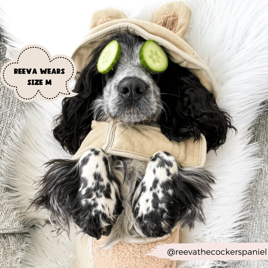 Thumbnail: Dog drying robe Image 7