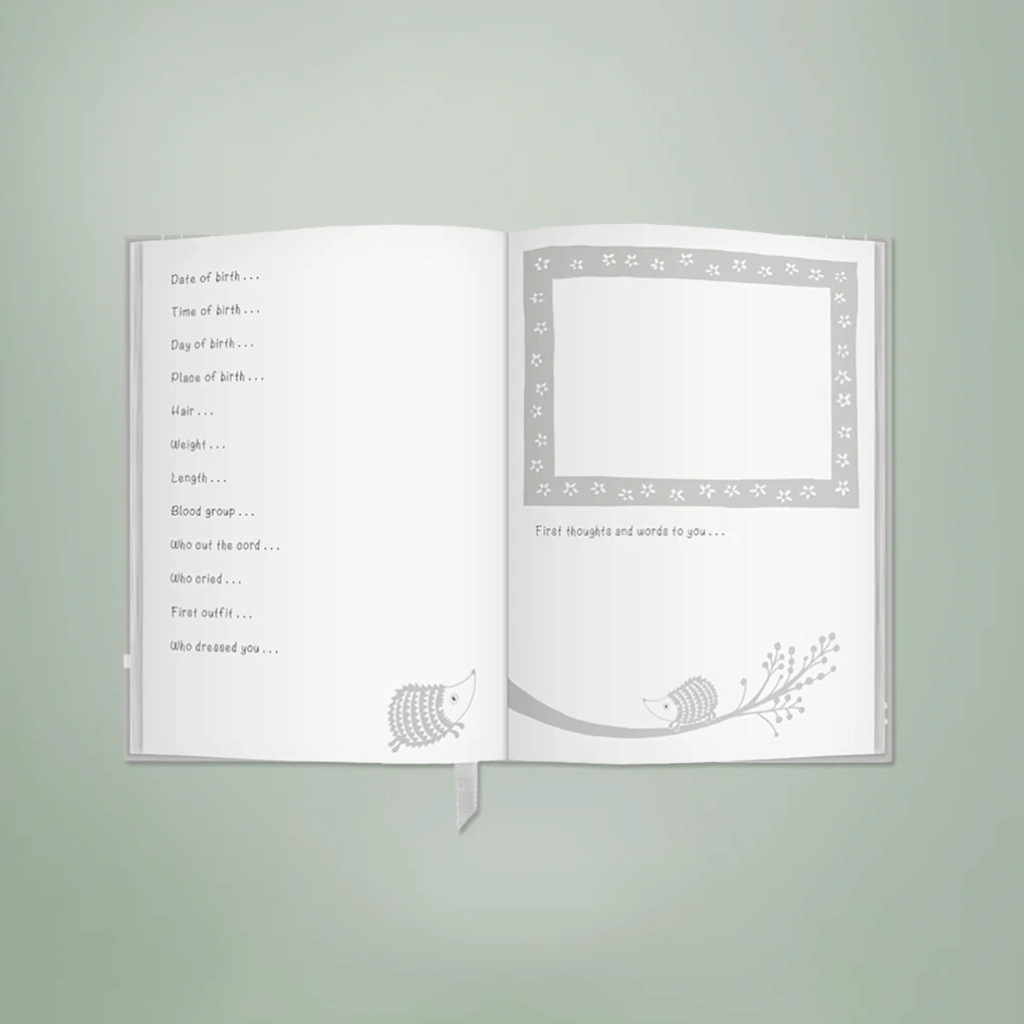 Thumbnail: Early years journal set Image 5