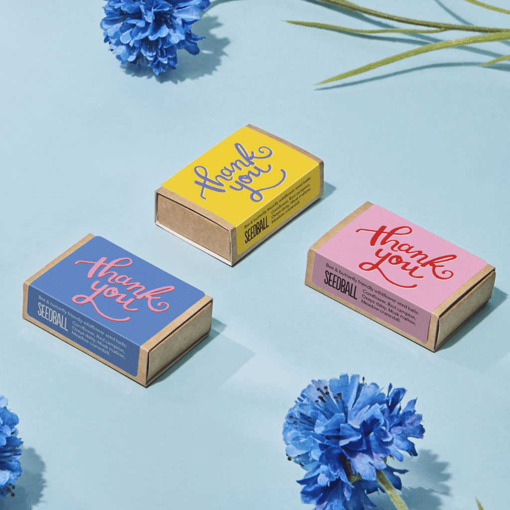 Thumbnail: Set of 3 seed boxes Image 1
