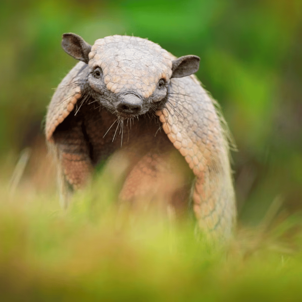 Thumbnail: Choice of 70+ Experiences Image 8