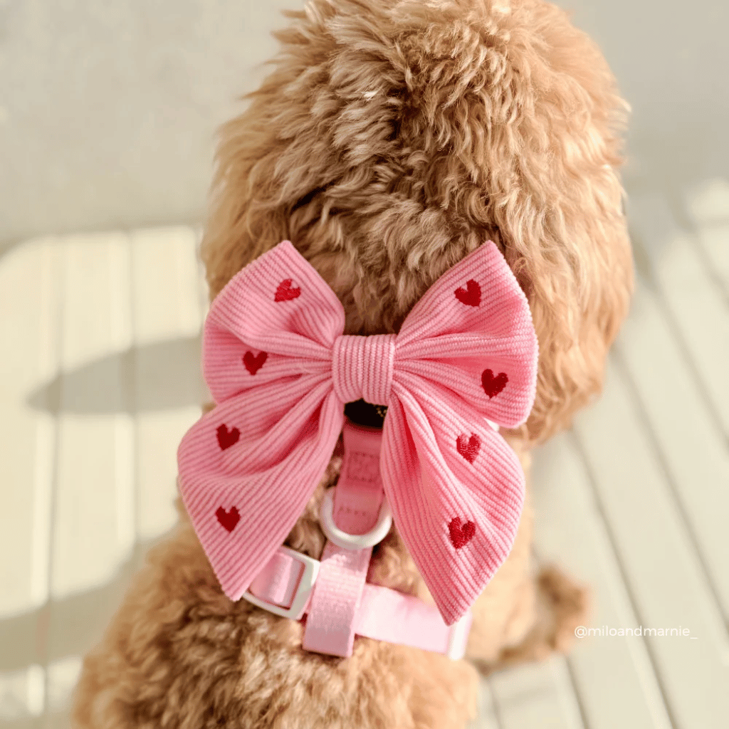 Thumbnail: Dog bow tie Image 3