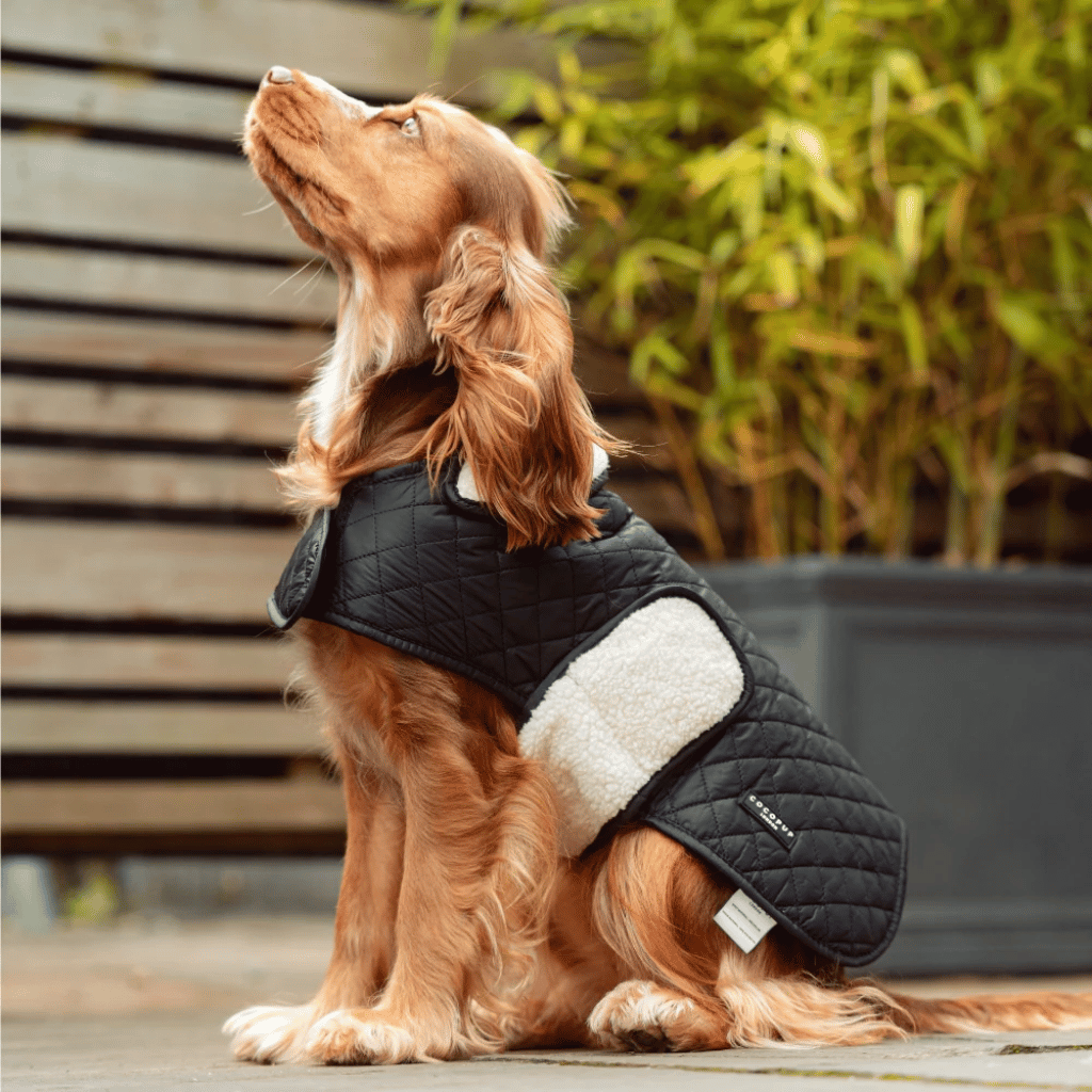 Thumbnail: Quilted dog coat Image 2