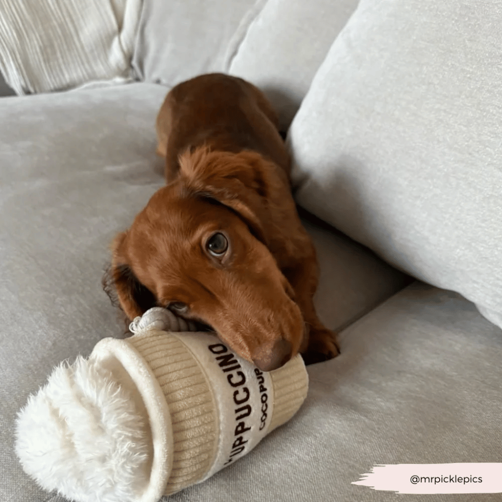 Thumbnail: Plush dog toy Image 4