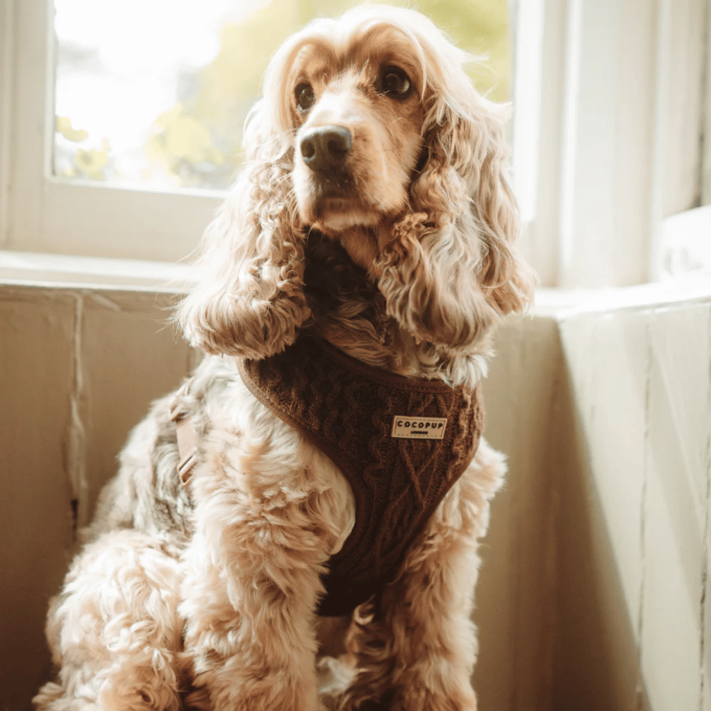 Thumbnail: Cable knit harness Image 2