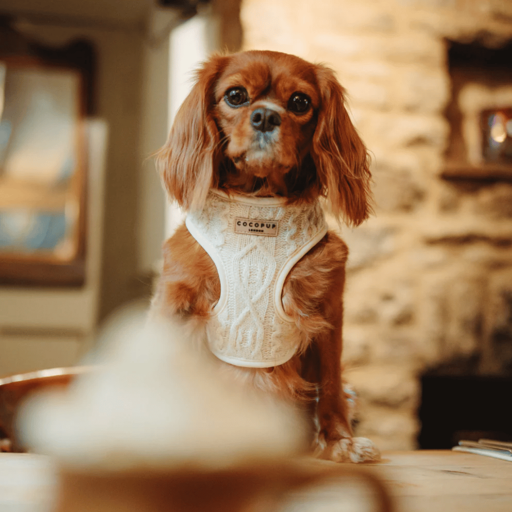 Thumbnail: Cable knit harness Image 1