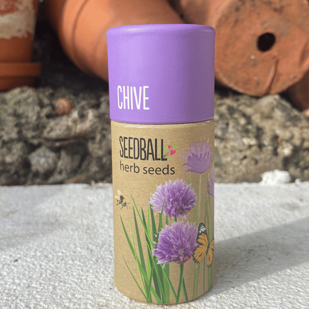 Thumbnail: Herb garden seedballs Image 4