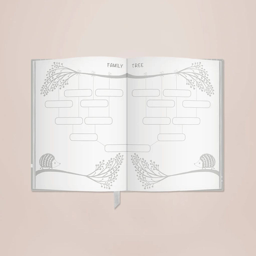 Thumbnail: Early years journal set Image 4