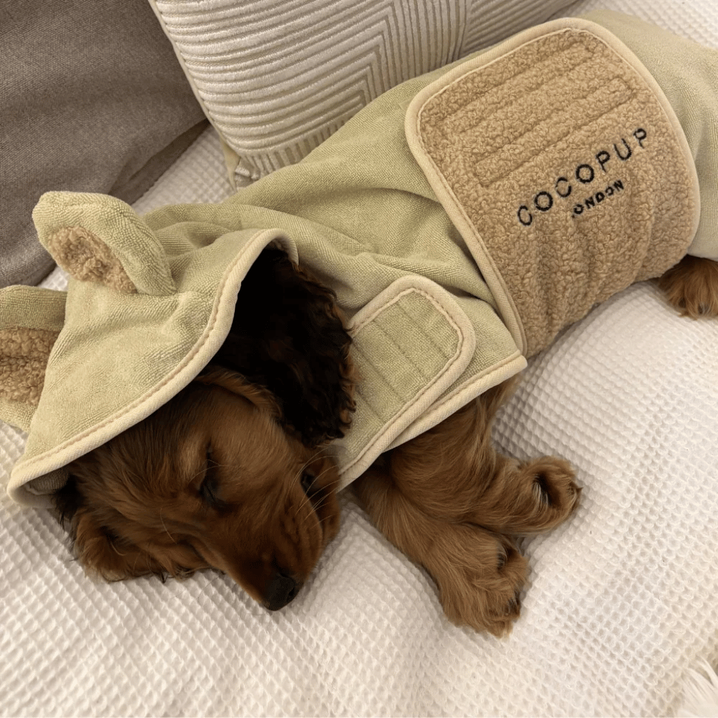 Thumbnail: Dog drying robe Image 5