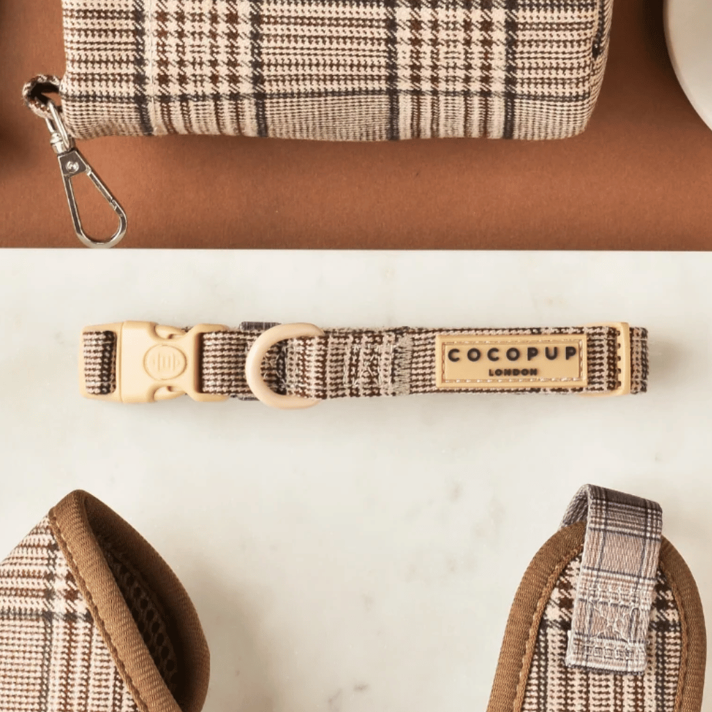 Thumbnail: Dog collar Image 3