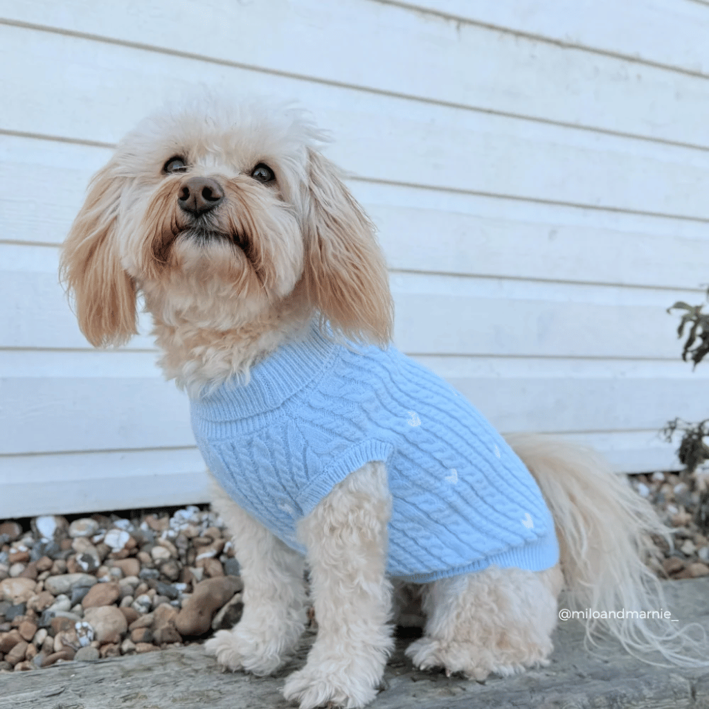 Thumbnail: Cable knit dog jumper Image 4