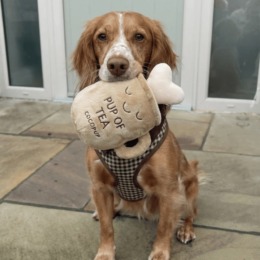 Thumbnail: Plush dog toy Image 1