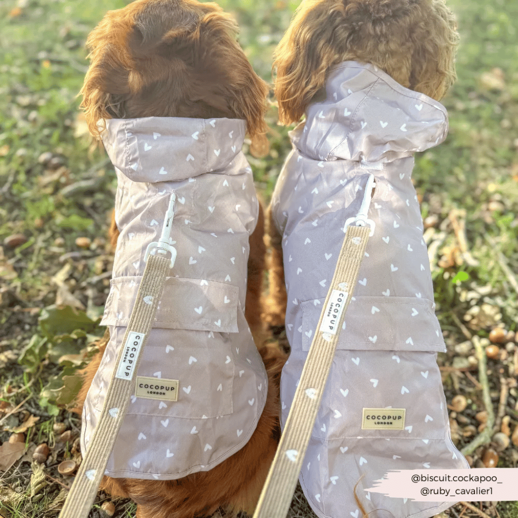 Thumbnail: Dog raincoat Image 4