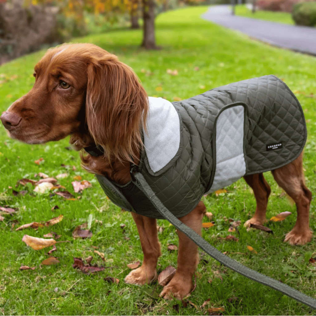 Thumbnail: Quilted dog coat Image 4
