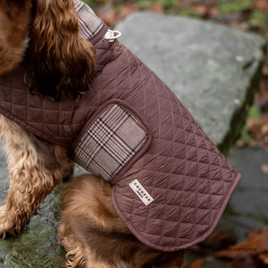 Thumbnail: Quilted dog coat Image 3