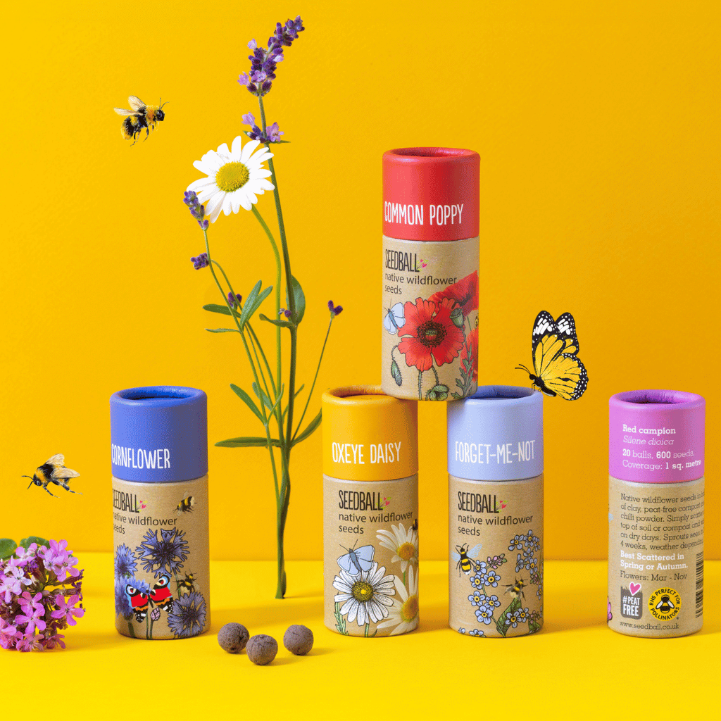 Thumbnail: Set of 5 wildflower tubes Image 1