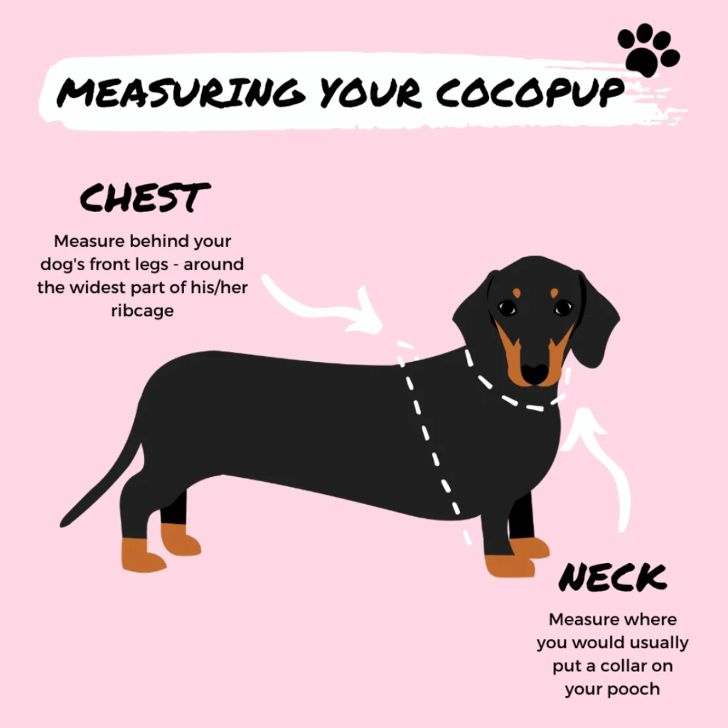 Thumbnail: Quilted dog harness Image 6