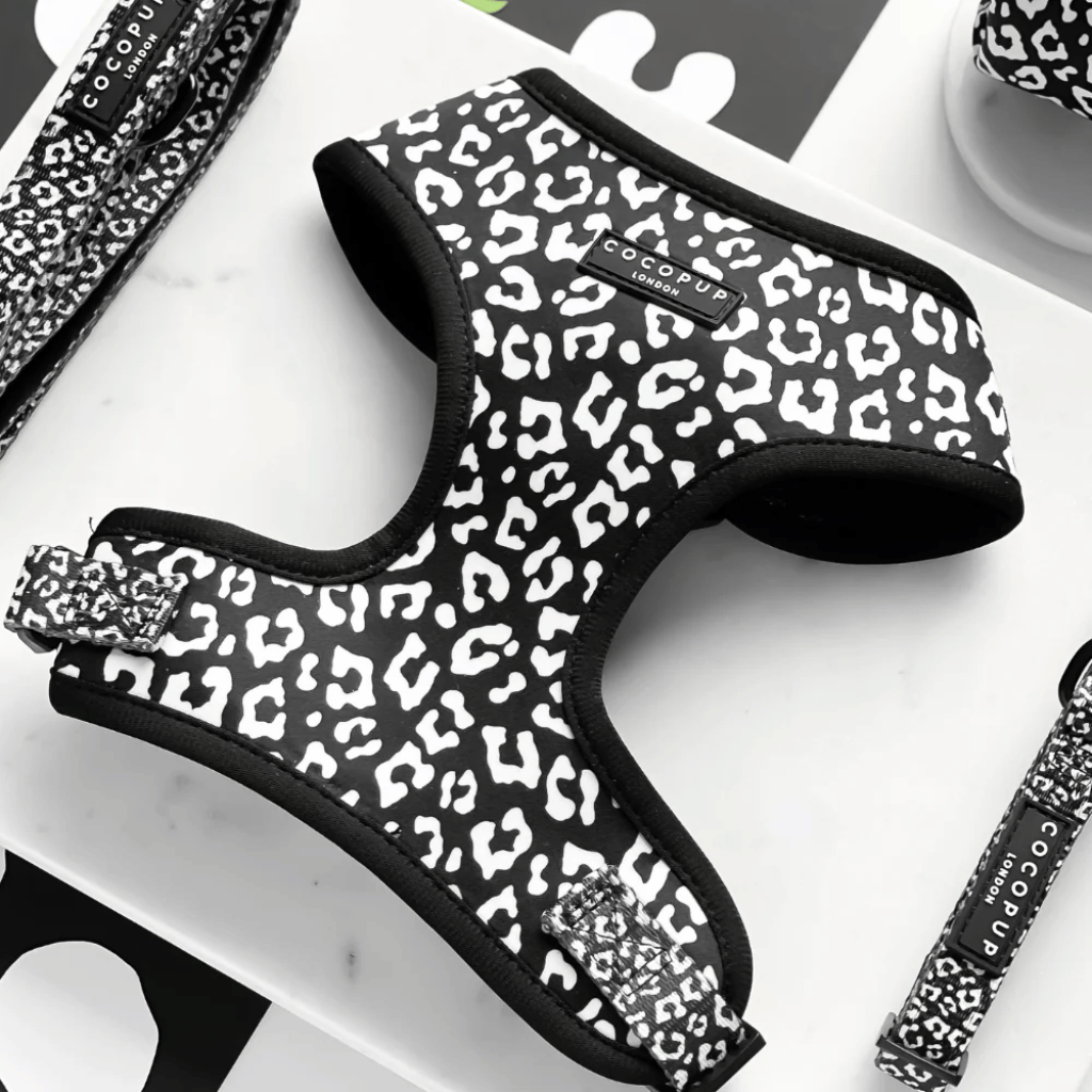 Thumbnail: Dog harness Image 1