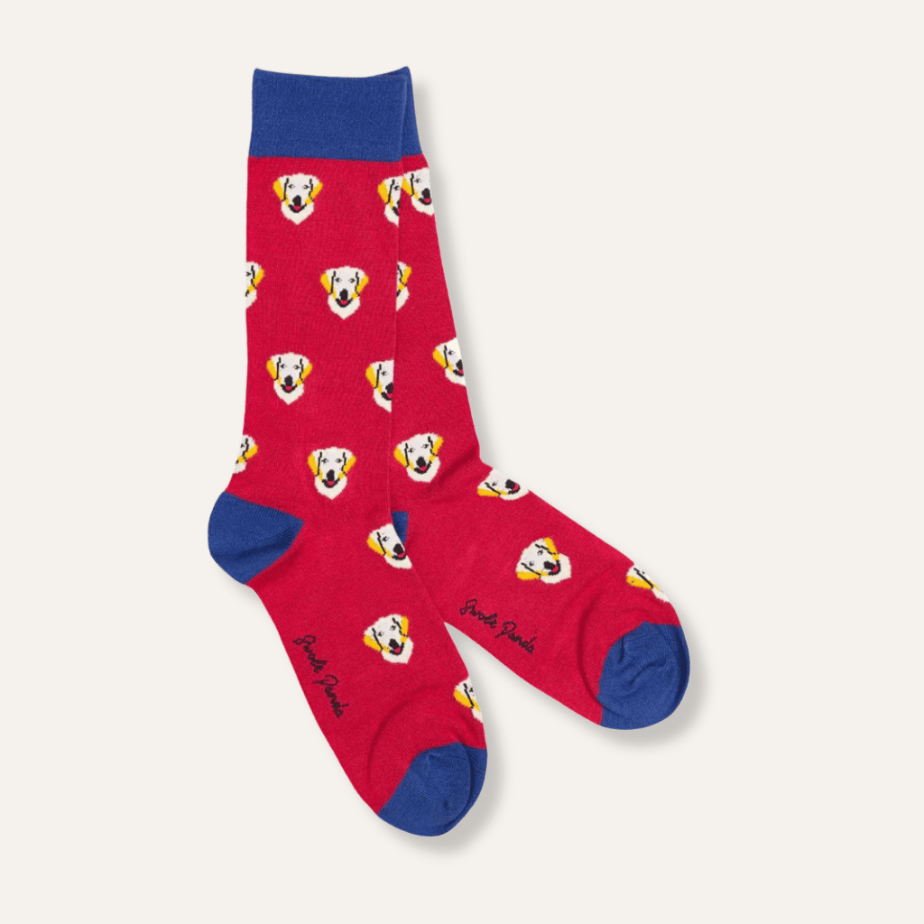 Thumbnail: Pair of men's bamboo socks Image 11