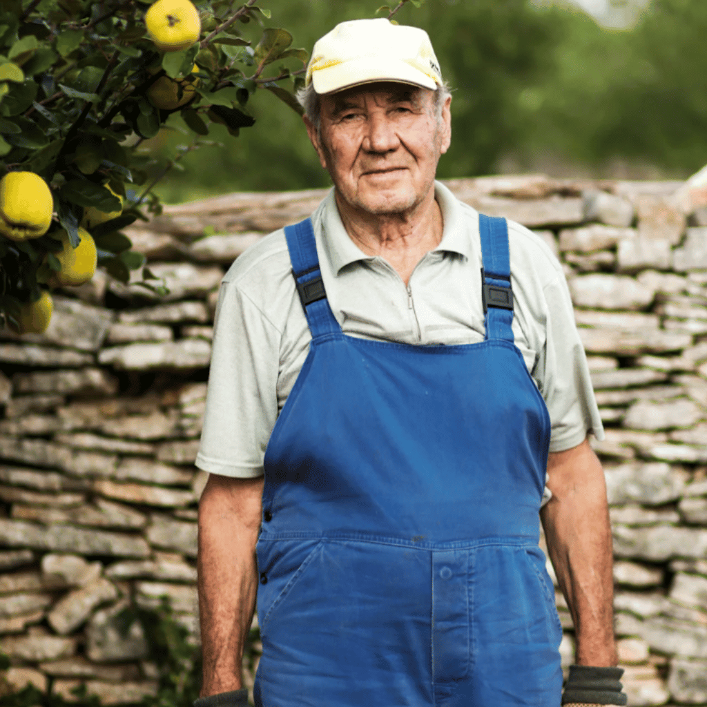 Thumbnail: Croatian extra rare olive oil bottle Image 6