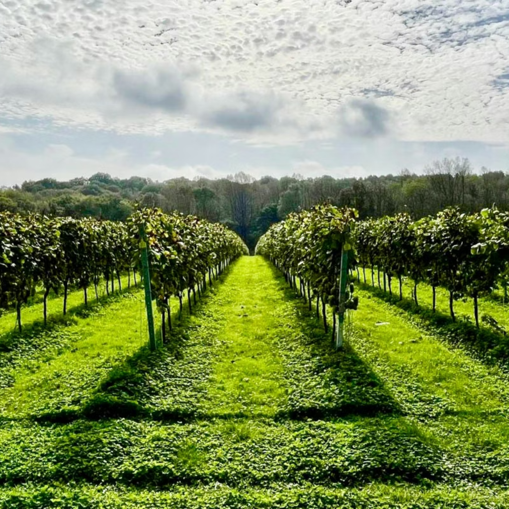 Thumbnail: Choice of 150+ Experiences for Him Image 4