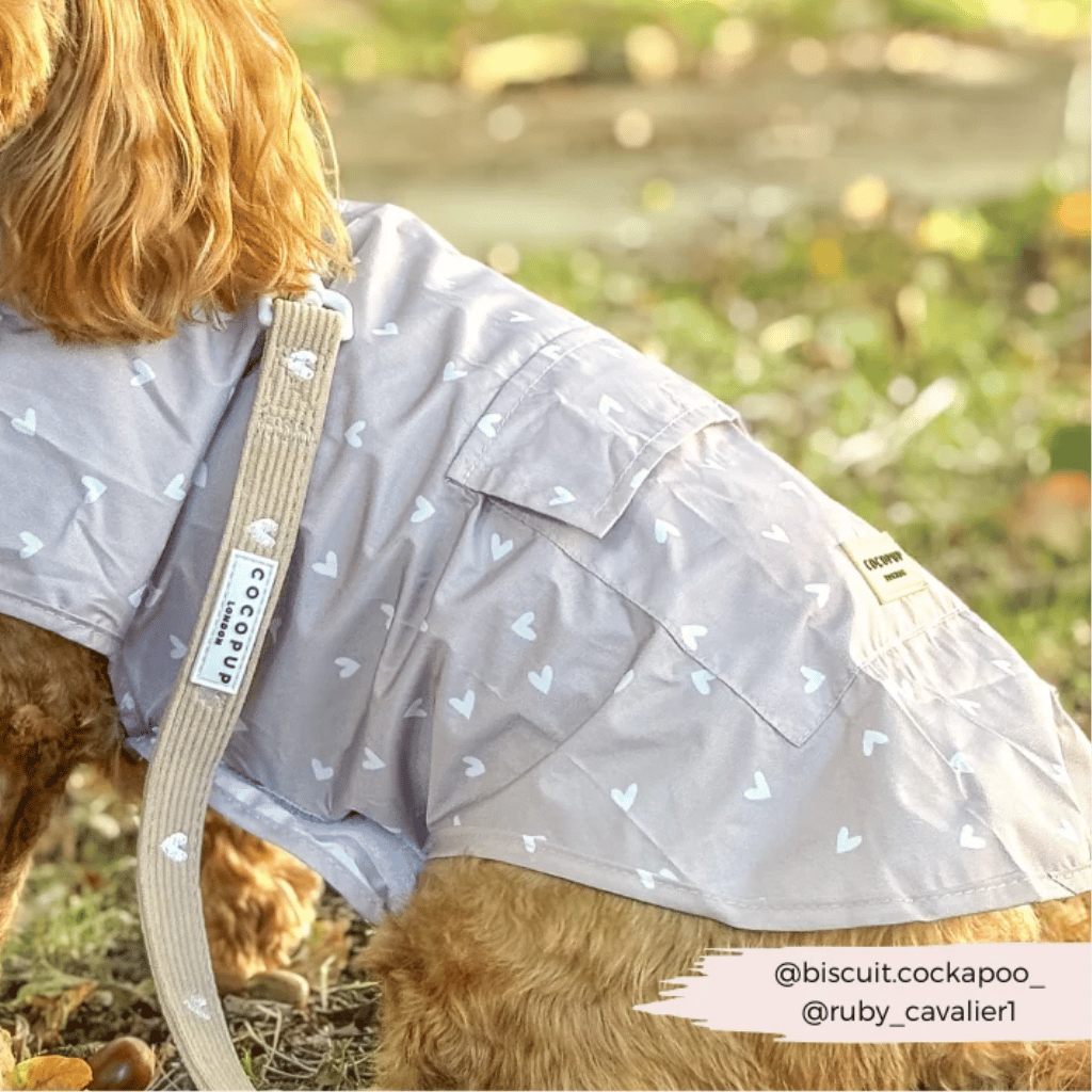 Thumbnail: Corduroy dog lead Image 2
