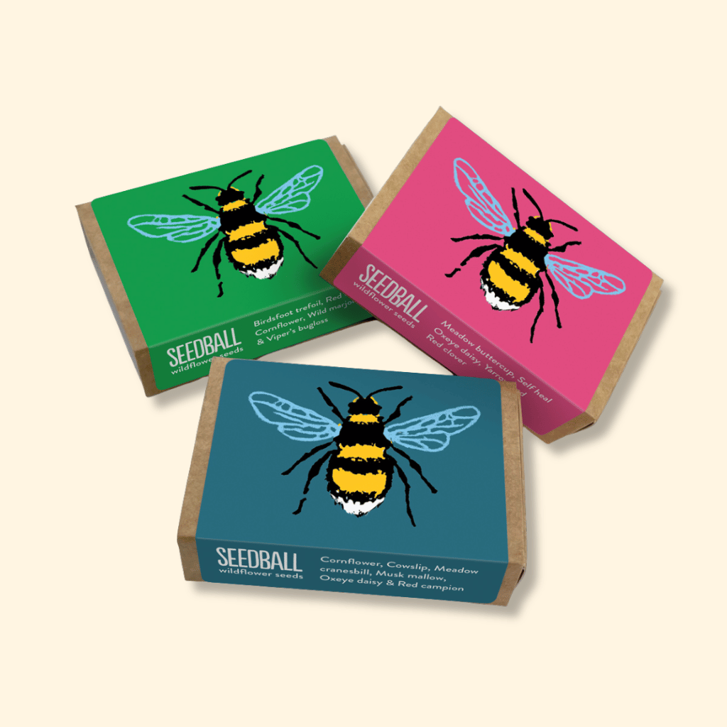 Thumbnail: Set of 3 seed boxes Image 4
