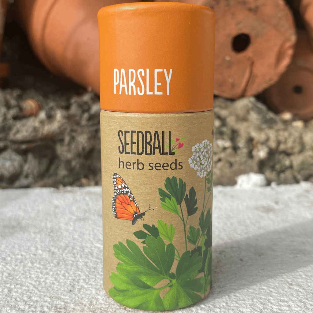 Thumbnail: Herb garden seedballs Image 5