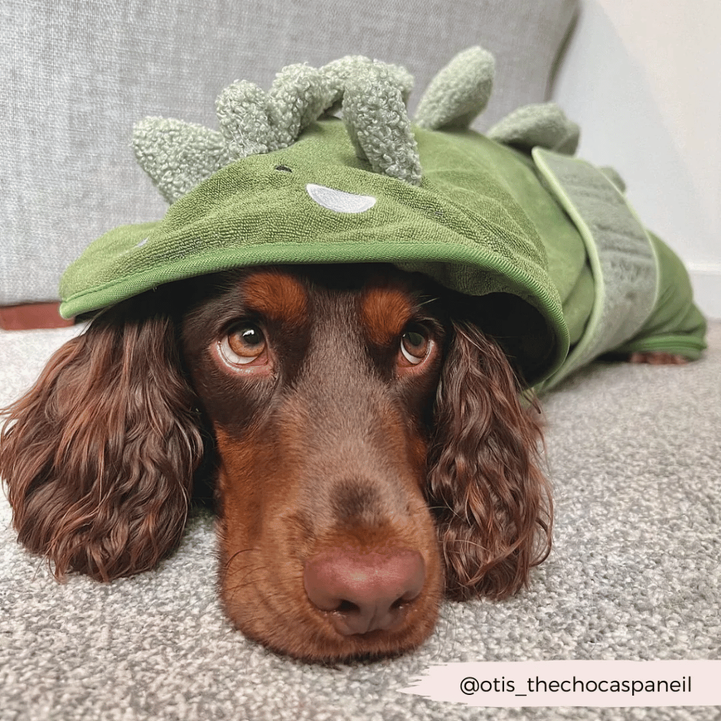 Thumbnail: Dog drying robe Image 6