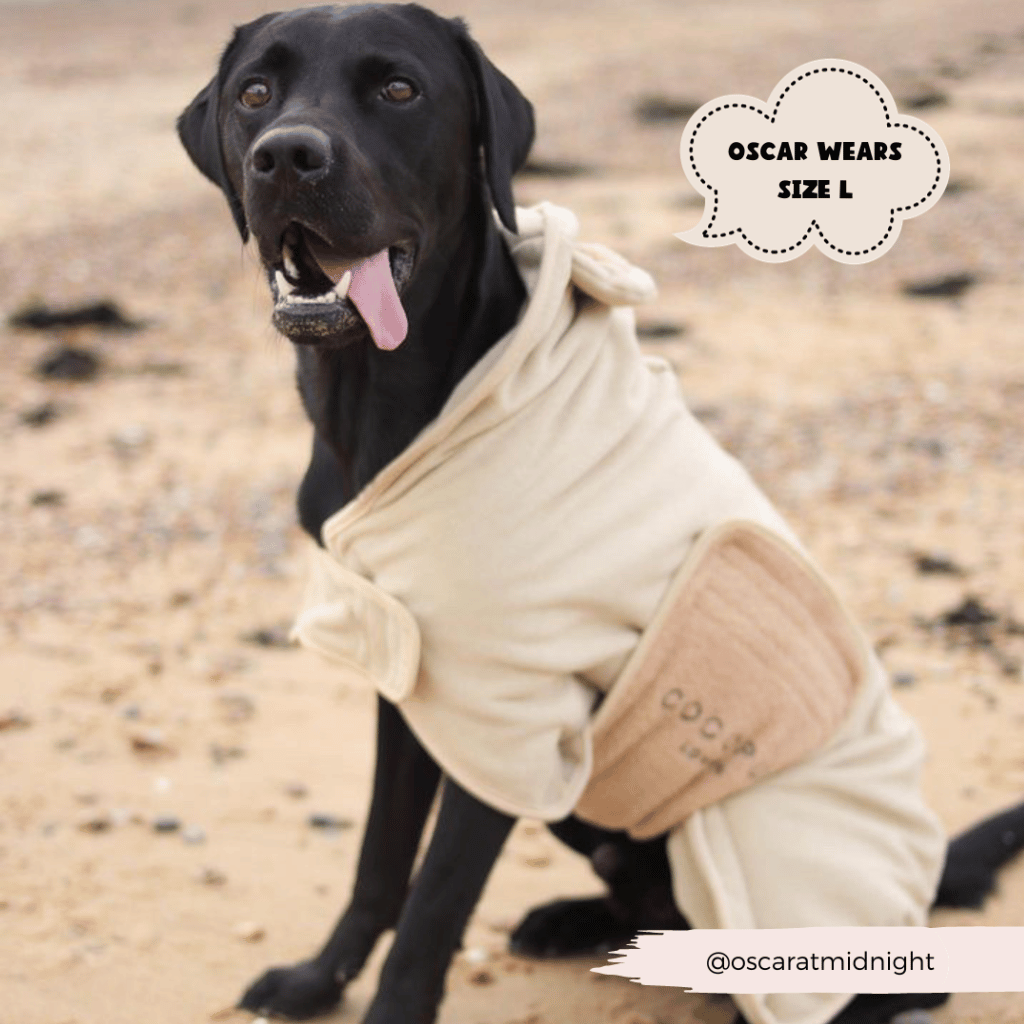 Thumbnail: Dog drying robe Image 9