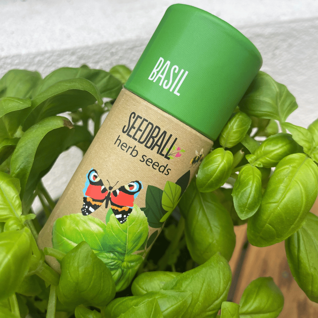 Thumbnail: Herb garden seedballs Image 1