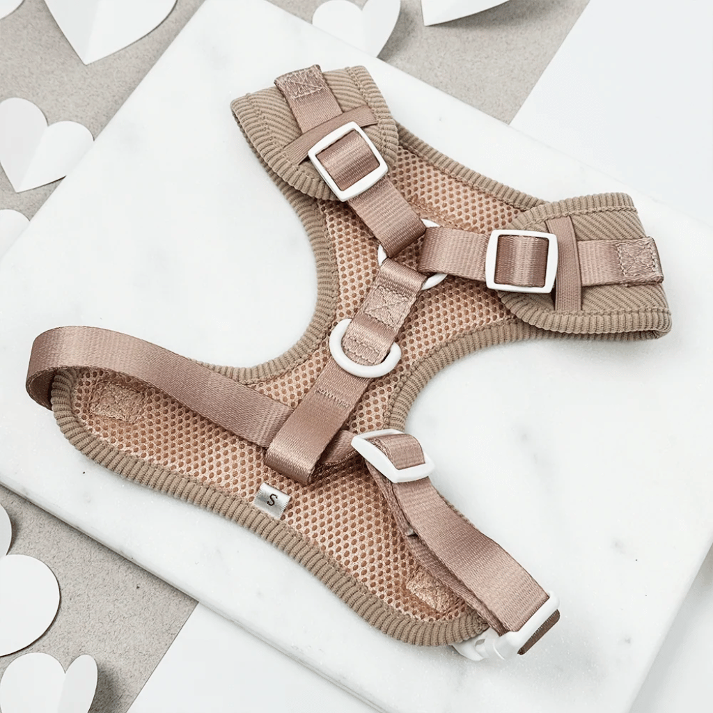 Thumbnail: Corduroy dog harness Image 3