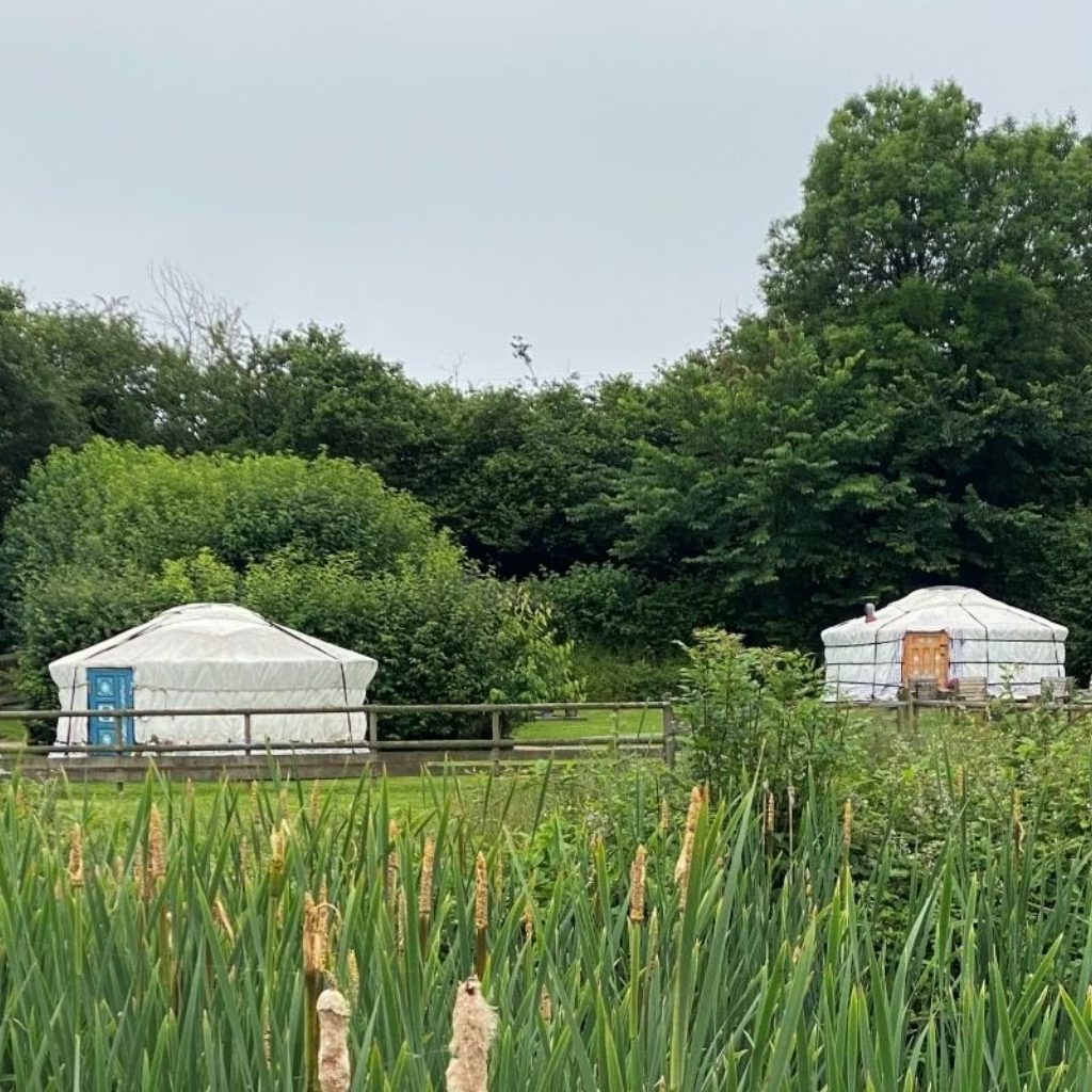 Thumbnail: Choice of 110+ Experiences Image 9