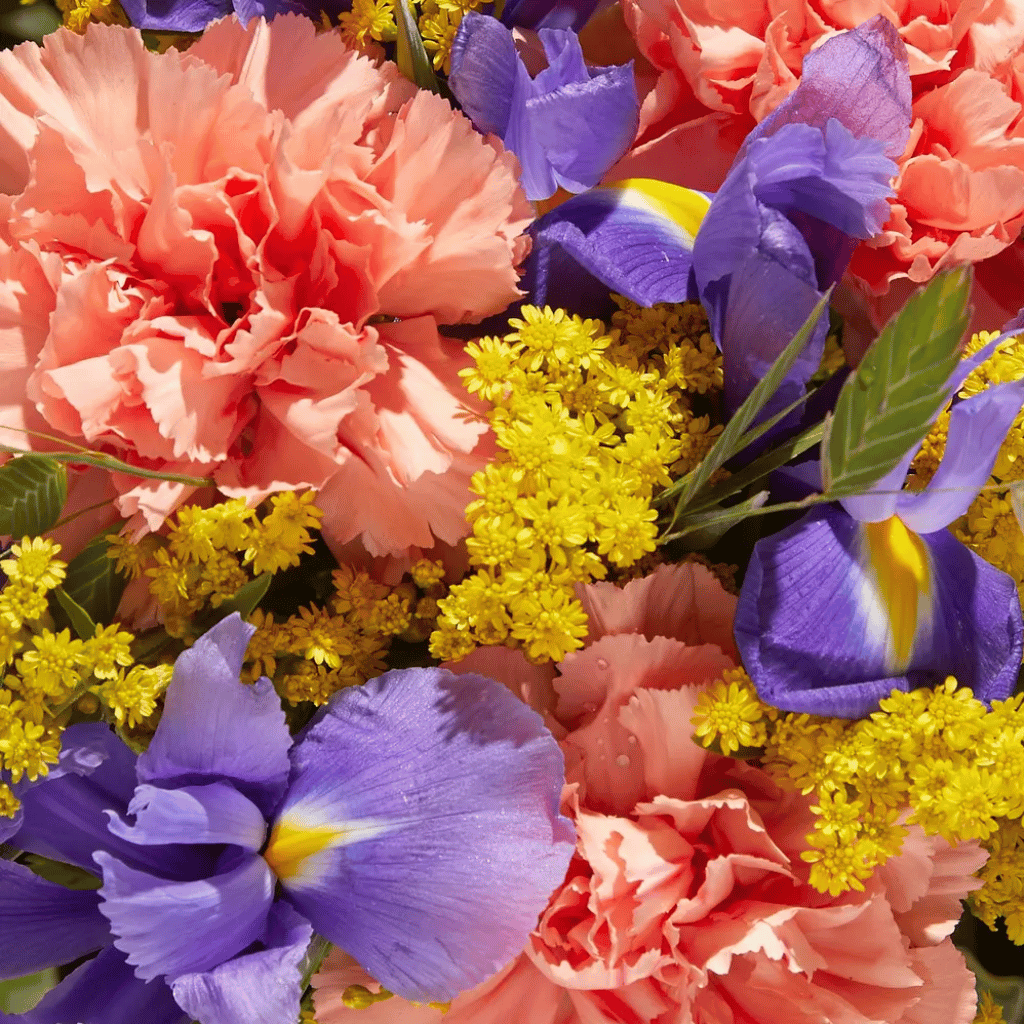 Thumbnail: Little letterbox flowers Image 4