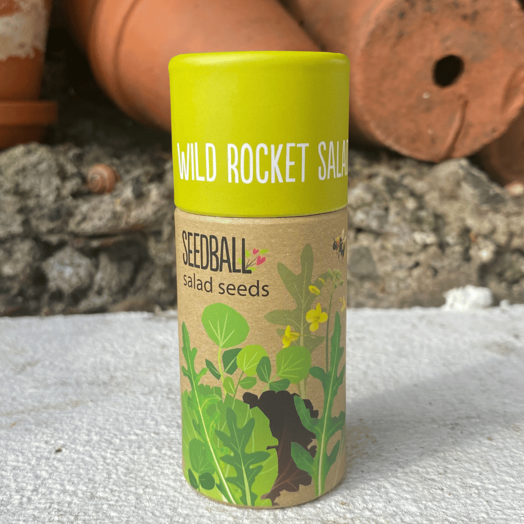 Thumbnail: Herb garden seedballs Image 3