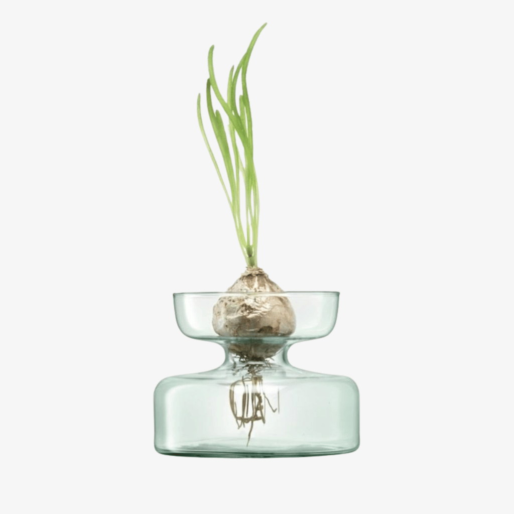Thumbnail: Canopy vase or planter Image 1