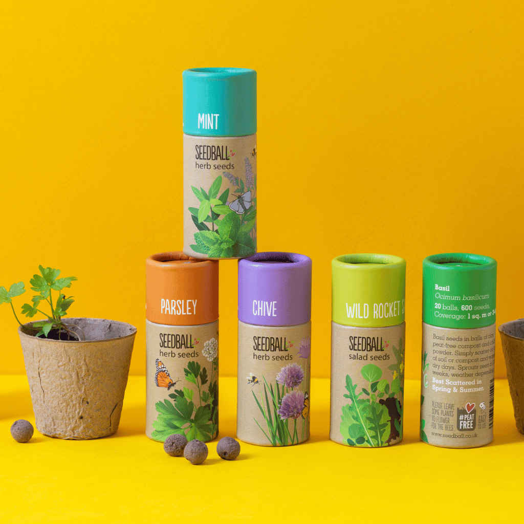Thumbnail: Herb garden seedballs Image 6