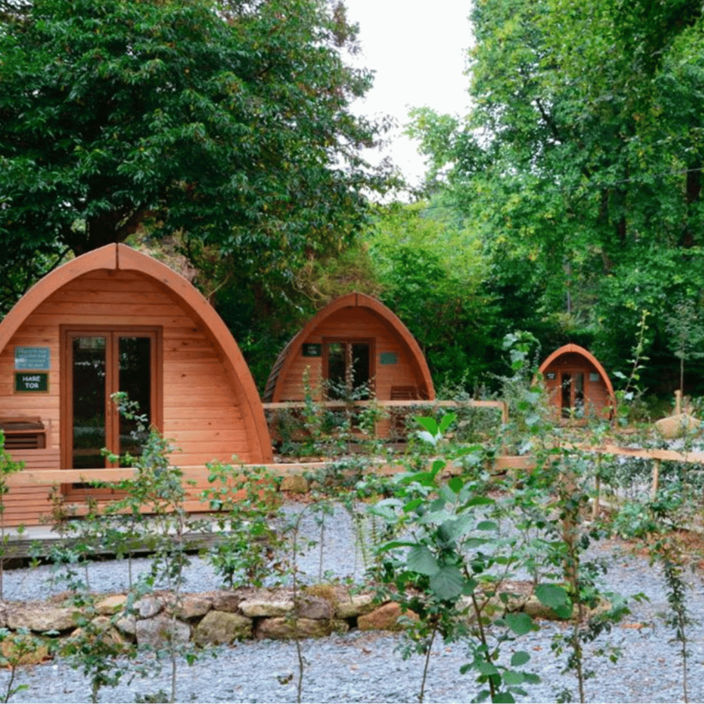 Thumbnail: One Night Glamping Break Image 6