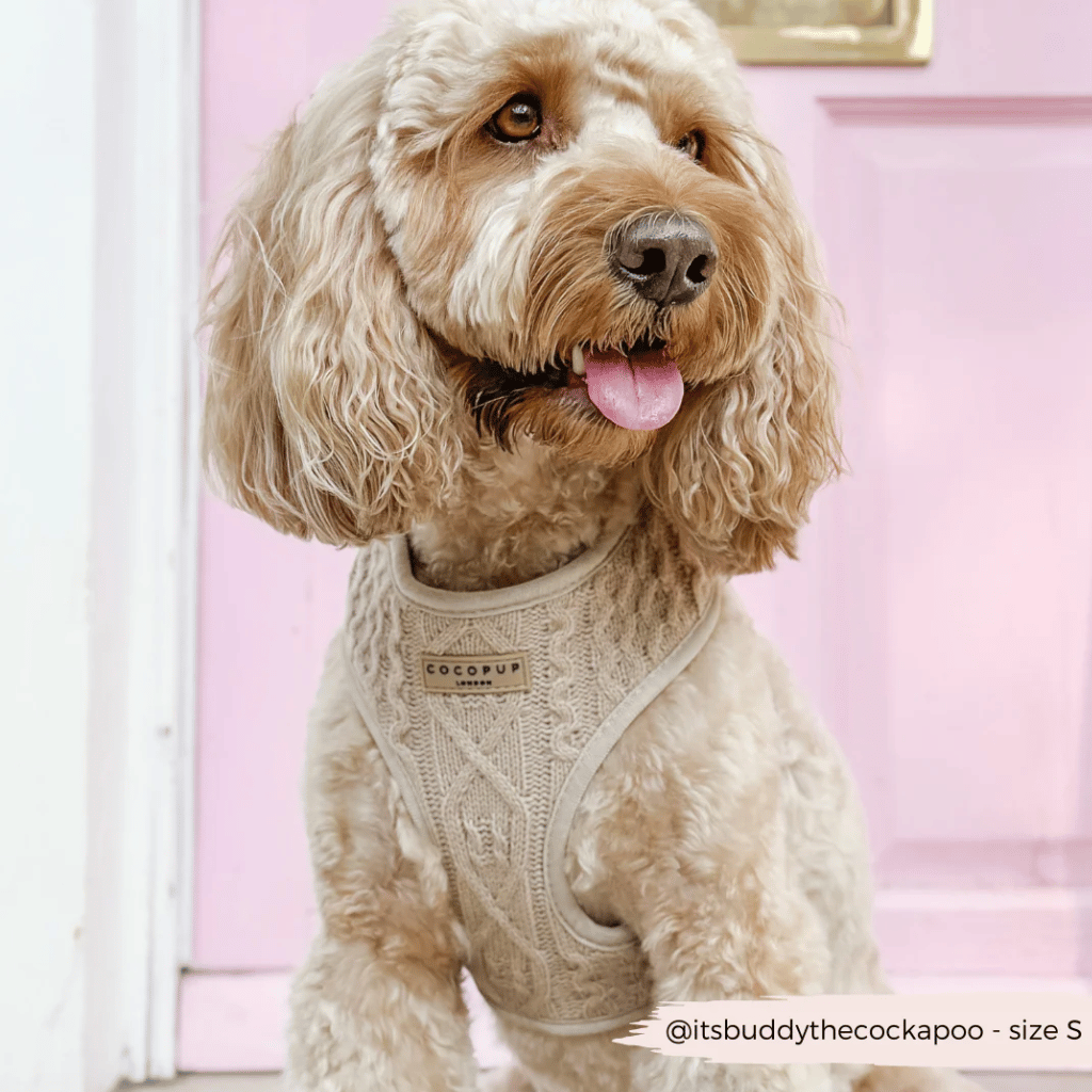 Thumbnail: Cable knit harness Image 3