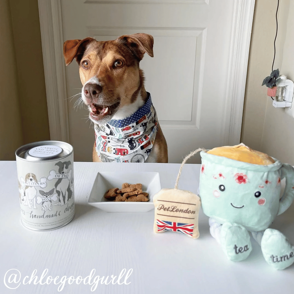 Thumbnail: Doggy biscuit treats Image 4