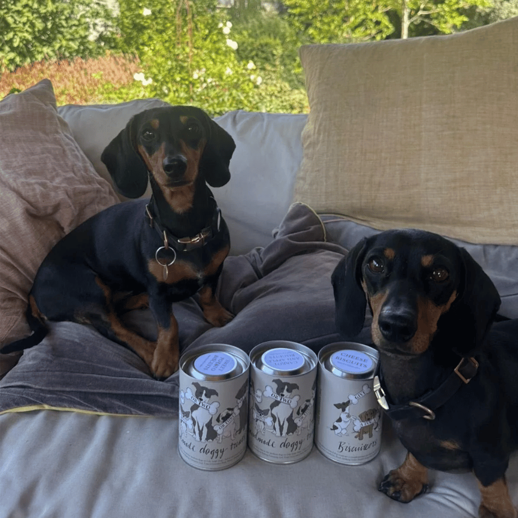 Thumbnail: Doggy biscuit treats Image 3