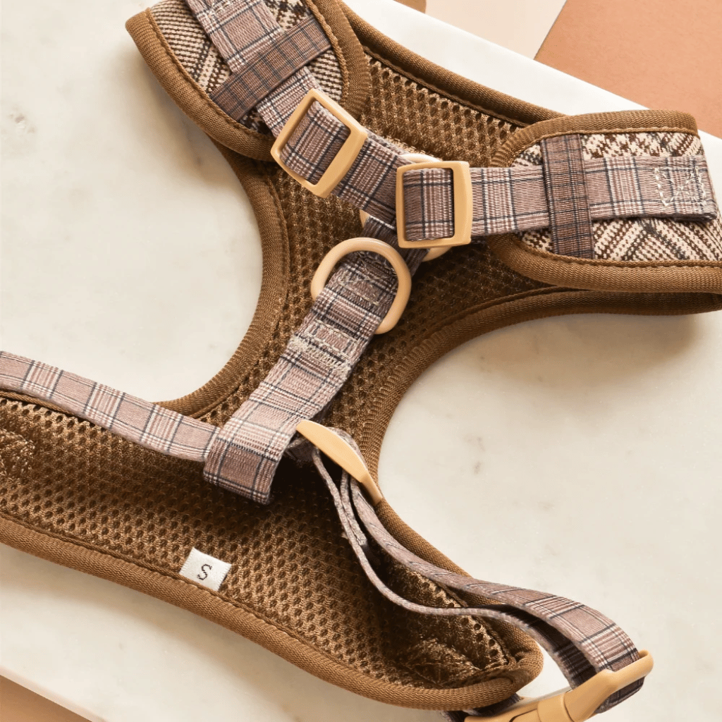 Thumbnail: Plaid dog harness Image 7