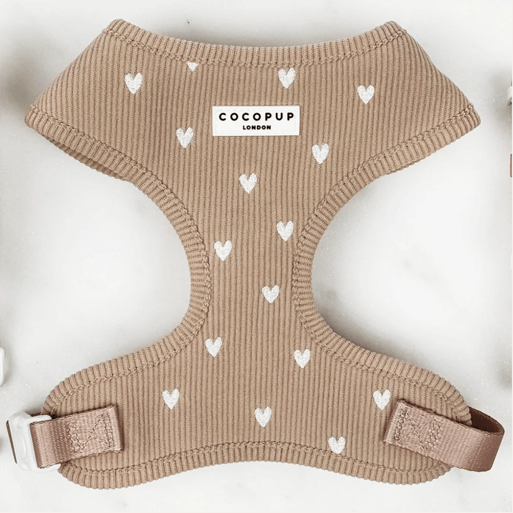 Thumbnail: Corduroy dog harness Image 2