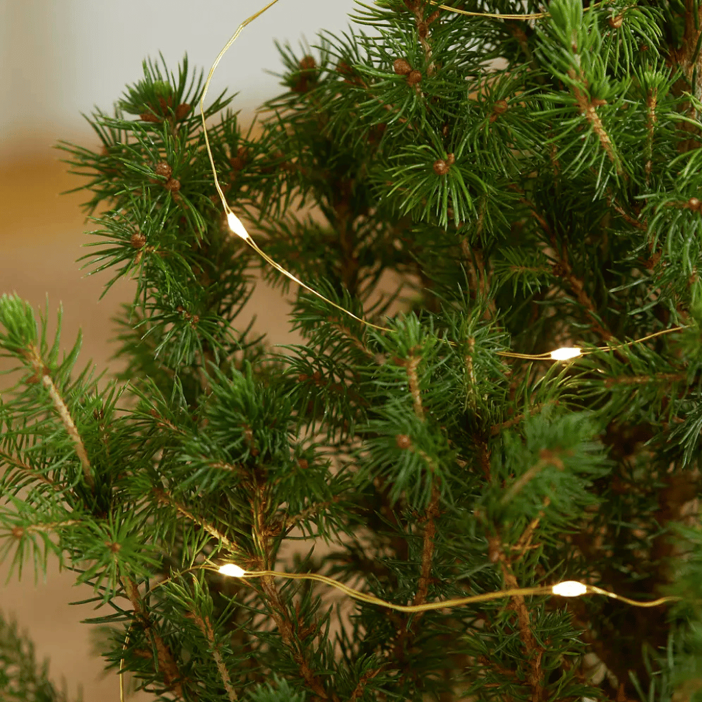 Thumbnail: Classic Christmas tree Image 4