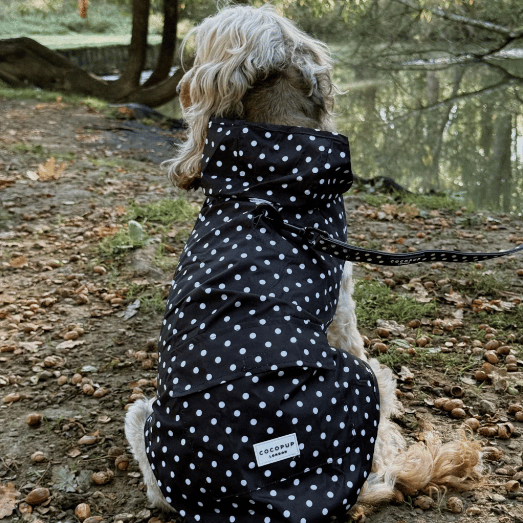Thumbnail: Dog raincoat Image 2